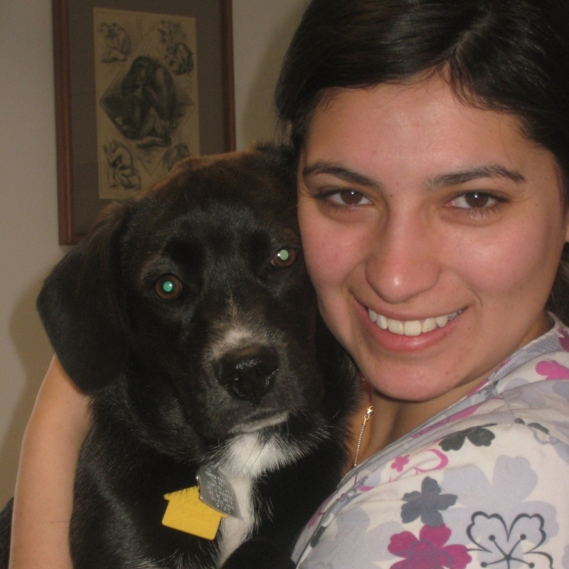 VetCor Community Connections Vet Techs